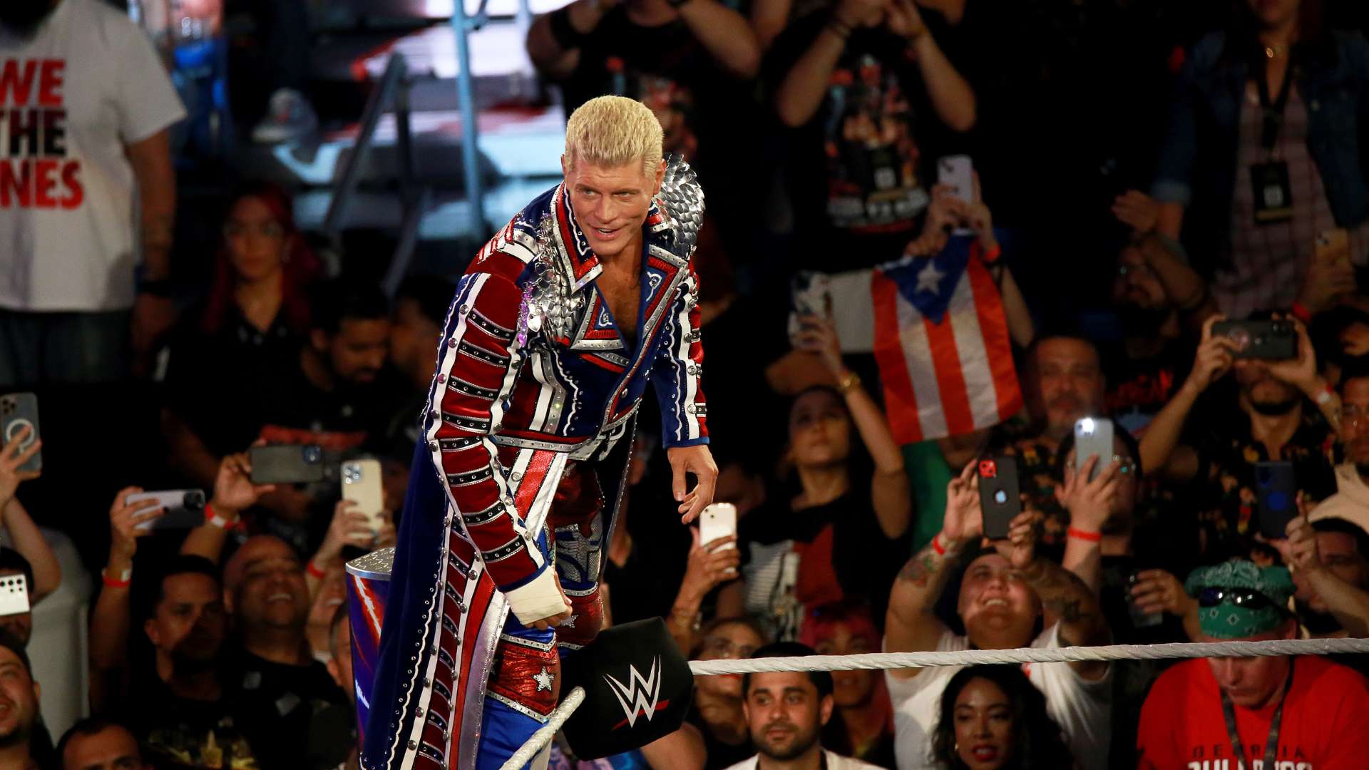 仅填补了球 仅填补了球